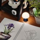 좋은사람들 | 집콕취미추천 어른색칠공부 그림이좋은사람들 아트북 후기