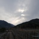 맹씨네 농장 이미지