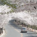 봉소1리 이미지