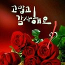 오시다
