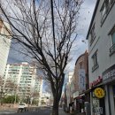 [제주 호두과자 맛집] 제주 연동 &#39;호밀호두 제주본점&#39; 답례품, 간식으로 딱 좋은 디저트