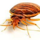 명성모텔 이미지