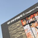 대전 한화생명 볼파크 중앙지정석 100B 시야 후기