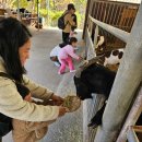 수환농장 이미지