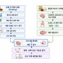 다태성 | 초산 다태 분만을 위한 육성 염소의 영양 강화 전략