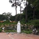 성당보건지소 이미지