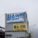 황소인력 이미지