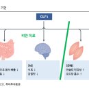 세계로약품 이미지