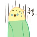 뛰뛰하개 네이버블로그