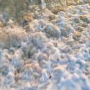 바다호프 이미지