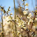 노벰버리조트 이미지