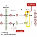 (주)뷰티애로우 | 올릭스 2026. 7. 16. IR 미팅 참석 후기