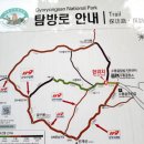 서대전육교밑 이미지