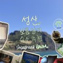 사려니숲길 쉐어하우스 | [제주 보름살이/쉐어하우스 바움] 바움에서 보낸 제주 보름살이 후기