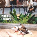 주렁주렁