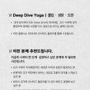 다이브플로우 이미지