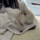 성덕농장 | 일상_ 감사하고 예뻤던 5월!