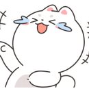 모모 애견미용 이미지