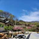 과수원민박 이미지