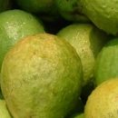 선아농장 이미지