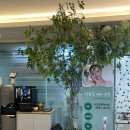 고은미의원 이미지