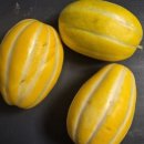 현이네식당 이미지