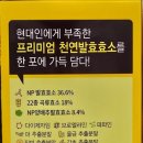 클린파마