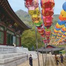 당숲 앞 Daum카페