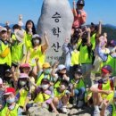 대오체육관 이미지