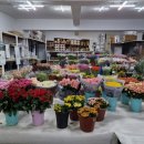 새경산꽃직판장 이미지