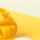 에스피엘주식회사 이미지