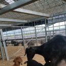 매화골농장 이미지