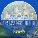 동탄파랑새공인중개사사무소 이미지