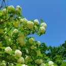 광릉충전소 이미지