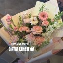 달빛아래 | 대전 둔산동 꽃집 추천 달빛아래꽃 어버이날 카네이션 꽃다발 예약 후기