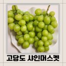 감골농장 | 충북)고당도망고향 샤인머스켓 추풍령감골농장 내돈구입후기