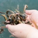 광한루추어탕 이미지