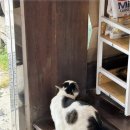 우진한방삼계탕