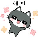 고양이미용 캣어스 이미지