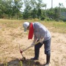 청수농장 이미지