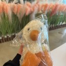 연휴일 | [애니멀클럽 평택점] 31개월 아이랑 갈만한 곳 내돈내산 솔직후기