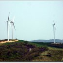 삼양축산 이미지