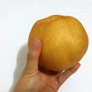 경부축산 이미지