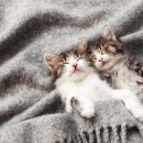 티앤디 동물병원 이미지