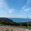 청산추억 | 🌿청산도의 감성을 담은 최고의 휴식처, 청산도ok펜션 후기🌊