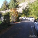 금산인삼랜드(대전) 이미지