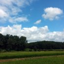 서여주세종영농조합법인 이미지