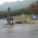 계룡산자연사박물관 이미지