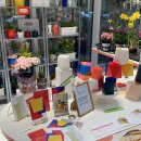 오요요 | 강아지사료 오요요 면역력 위해 구입해본 내돈내산 후기