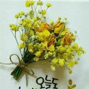 제일푸드 이미지